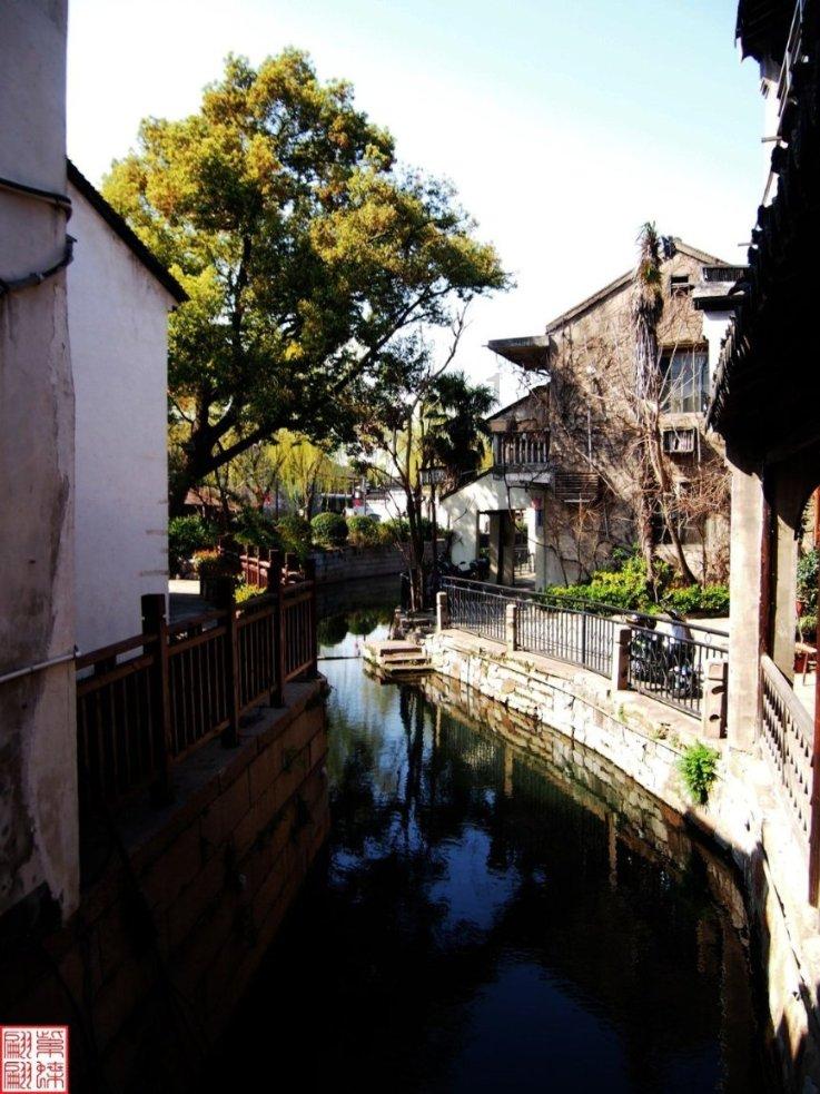 渝论 | 把握青年消费需求导向，助推消费中心城市建设